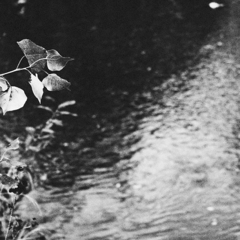 11220802_671352263020257_2818419853637470815_n