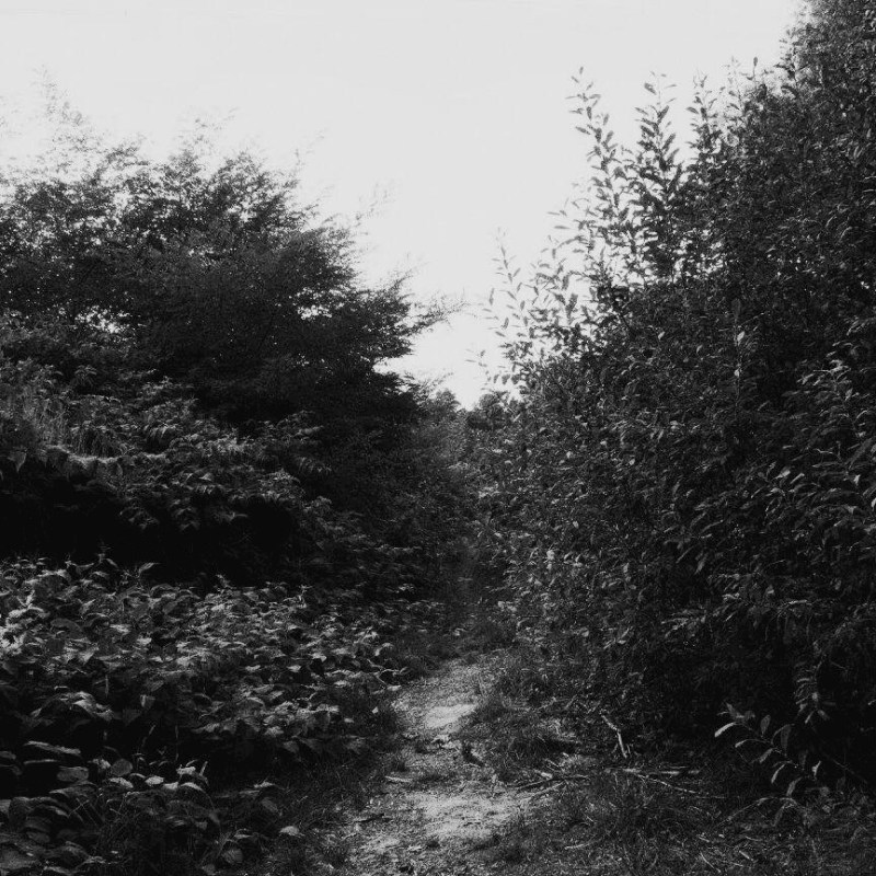 14522782_671352376353579_6961675768041593795_n