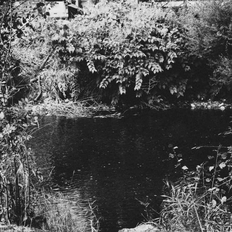 14680523_671352356353581_546295174326510406_n