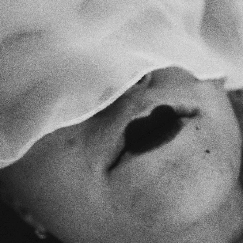 14716191_671354759686674_7322467280802201503_n