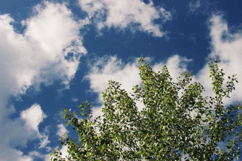 Processed with VSCO with g3 preset